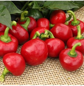 Resim Acı Hot Cherry Tatlı Kiraz Biber Tohumu 50 Tohum 