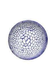 Resim Kütahya Zeugma 24 Parça Yemek Seti 880201 Desen Çok Renkli 