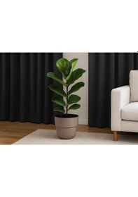 Resim So-kup5 Kuple Plastik İç Kovalı Saksı Takımı No:5 26 Lt Mocha 3 Adet 