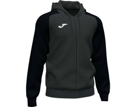 Resim Joma Erkek Eşofman Üstü Academy Iv Zip-Up Hoodie 101967.151 