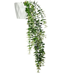 Resim Özel Tasarım İki Renkli Elmas Beyaz Saksılı Saksılı Beyaz - Yeşil Okaliptus Sarkıtı Beyaz-Yeşil 