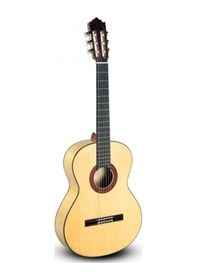 Resim Paco Castillo Flamenko Gitar Mod-213f 