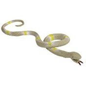 Resim Nature World Stretch Snakes Krem Sarı 