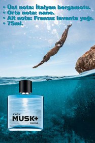 Resim Avon Musk Marine Musk Instinct ve Musk Mineralis Erkek Parfüm Paketi 