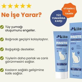 Resim Kısır veya Yetişkin Kediler İçin Tüy Yumağı Önleyici ve Sindirim Destekleyici Malt Macunu 100g 