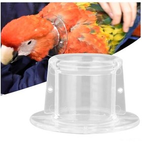 Resim Qingmipy Papağan Yaralı Kolluk, Akrilik Koruyucu Yaka, Tüy Çekmeyi Engeller, Yaraların İyileşmesini Sağlar, Orta Boy Dış Çap 7.2cm, İç Çap 3.5cm 