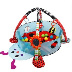 Resim Molie Top Havuzuna Dönüşen Aktivite Merkezi ve Oyun Halısı 