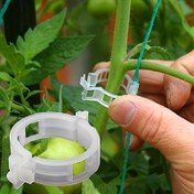 Resim 600 Adet Bahçe Tırmanma Klipsi - Dayanıklı Plastik Domates, Salatalık ve Balkabağı Bitkileri için 1 İnç İç Çaplı Beyaz Dikenlik Bağlama Klipleri 