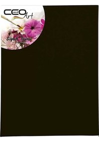 Resim Ceoart 25x35 Siyah Tuval Ceo-tu0012 