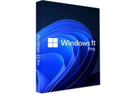 Resim Kaia Life Microsoft Windows 11 Pro FQC-10556 64 Bit (Oem) Türkçe 
