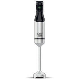 Resim Kivi KiwiEl Blenderi ( Çubuk ) Speed Control Düğme Teknolojisi 1200W Paslanmaz Çelik 