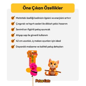 Resim PetzzCats Bee Matatabi ve Çıngırak Sesli Kedi Oltası Oyuncağı Pembe 42 Cm 