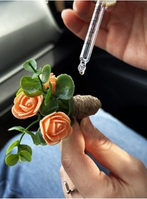 Resim Plantarrium Design Oto Aksesuar/koku-mini Hasır Buket Sarmaşık Somon 