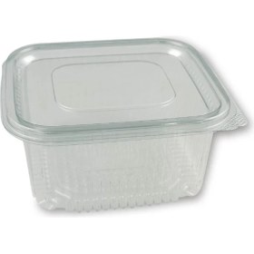 Resim Plastik Sızdırmaz Kap 500 gr cc Kullan At Tek Kullanımlık Plastik Kapaklı Kase 300 Adet 