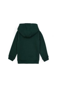 Resim U.S. Polo Assn. Erkek Çocuk Koyu Yeşil Basic Kapüşonlu Sweatshirt 50313808-VR079 