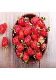 Resim Kokulu Frigo Yediveren Çilek Fidesi Soğuklara Dayanıklı 5 Adet 