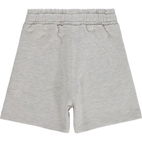 Resim Civil Boys Basic Surf Etiketli 2-5 Yaş Kapri - Gri - Karmelanj / 3-4 Yaş 