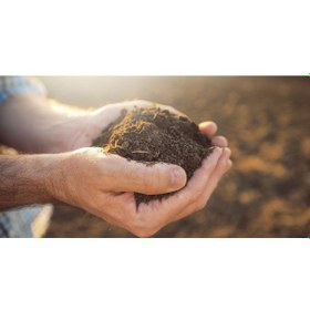 Resim Doğal Elenmiş Bahçe Toprağı 5 Litre Diğer 