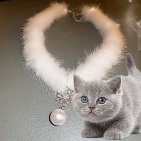 Resim 2'li Şık Beyaz Tüy ve İnci Kedi Kolye Seti - Ayarlanabilir, Rahat Tasarım, Parlayan Süslemeler ile Günlük Kullanım ve Özel Günler için Mükemmel, Kedi Aksesuarları|Festive Aksesuar|Ayarlanabilir Askı, Kedi Takı 