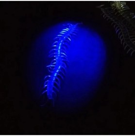 Resim Şaka Yılan ve Kırkayak Karışık 36 Adet 