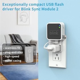 Resim Blink Sync Modülü 2 Bağlantılı Yerel Video Depolama için 256GB USB Flash Sürücü (Göz Kırpma Eklentisi Senkronizasyon Modülü 2 Dahil DEĞİLDİR) 