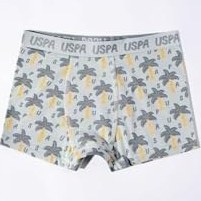 Resim U.S. Polo Assn. Erkek Çocuk Boxer, Yeşil, 9-10 Yaş, Set of 3 