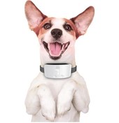 Resim Doggie Havlama Önleyici Eğitim Tasması Ayarlanabilir Beyaz 