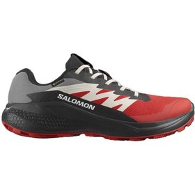 Resim Salomon Alphaglıde Gore-tex Erkek Ayakkabısı L47975200 Çok Renkli 