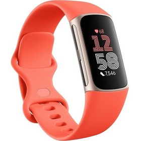 Resim Fitbit Charge 6 Fitness Akıllı Bileklik | YD 