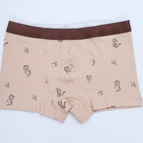 Resim Toontoy Erkek Çocuk Baskılı Pamuklu Lastikli Boxer - 4'lü Paket 