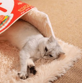 Resim Paw Portal Özel Tasarım Kedi Yatağı - L 55*45*20 cm / Mavi 