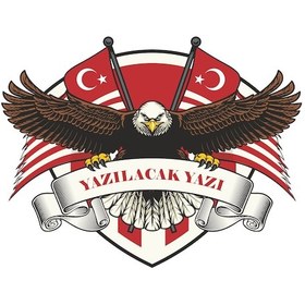Resim Türk Bayrağı Kişiye Özel Kartal Sticker 02011 