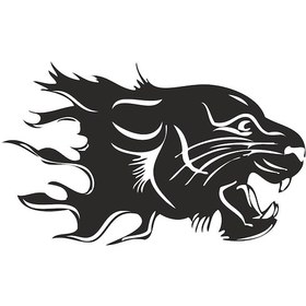 Resim Aslan 11 Folyo Sticker 60cm Uzunluk Siyah 