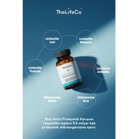 Resim TheLifeCo Probiyotik 30 Kapsül x 2 Adet 