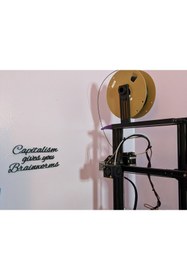 Resim Lucest "Kapitalizm sana beyin kurtları verir" duvar sanatı (Plastik Aparattır!!!) 