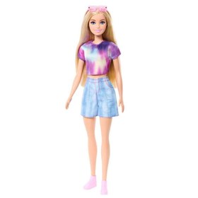 Resim Barbie Mysteries Beach Detectives Malibu Bebeği JFV63 