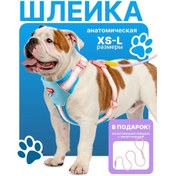 Resim Mundo Pets Küçük Ve Orta Boy Köpek Ve Kedi Tasması 370347689 