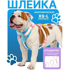 Resim Mundo Pets Küçük Ve Orta Boy Köpek Ve Kedi Tasması 370347689 