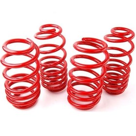 Resim Coil-ex Renault Fluence 2009 Sonrası 45/45 Mm Spor Yay 
