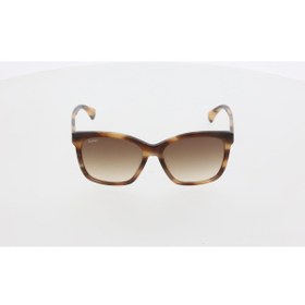 Resim Maxmara Mm0042 48f Kadın Güneş Gözlüğü 