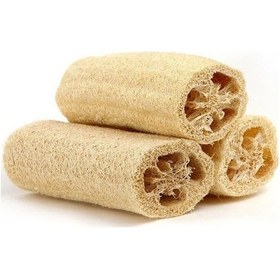 Resim Kabak Tohumu Lif Kabağı Tohumu 5 Tohum + Tohum 