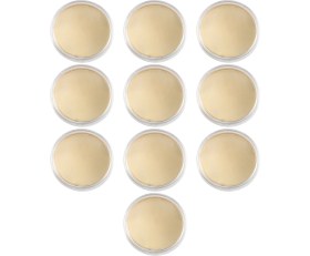 Resim Forge Jungle 10 Adet Boş Challenge Coin, Gravür Boşlukları Paraları, 40MM Çaplı Akrilik Koruma Kutulu (Pirinç) (Yurt Dışından) 