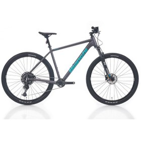 Resim Bianchi Magma Comp 9.1 Cues 53 Cm 1x10-v Hd Dağ Bisikleti Gri - Mavi 