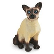 Resim Collecta Oturan Siyam Kedisi 