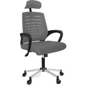 Resim Türksit Karizma File Müdür Koltuğu Metalik Gri Boyalı Ayak Gri 