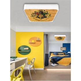 Resim Gökyüzü Panel Harry Potter-Led AVIZE-25WATT-30 cm x 30 cm Çocuk Odası Avize Luks LED Avize 