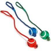 Resim Beeztees İpli Tenis Topu 60 Cm 