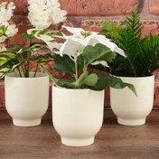 Resim Ang Design Riva Seramik Saksı - Krem - 12x8 cm 