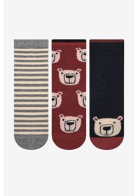 Resim Penti Erkek Çocuk Dear Bear 3lü Çok Renkli Soket Çorap 