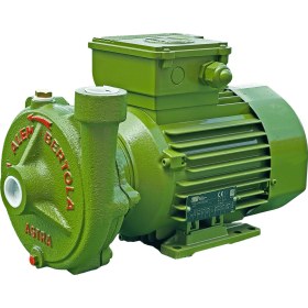 Resim Alem Bertola Astra Bahçe Su Pompası 2 Hp 220 Volt Monofaze 